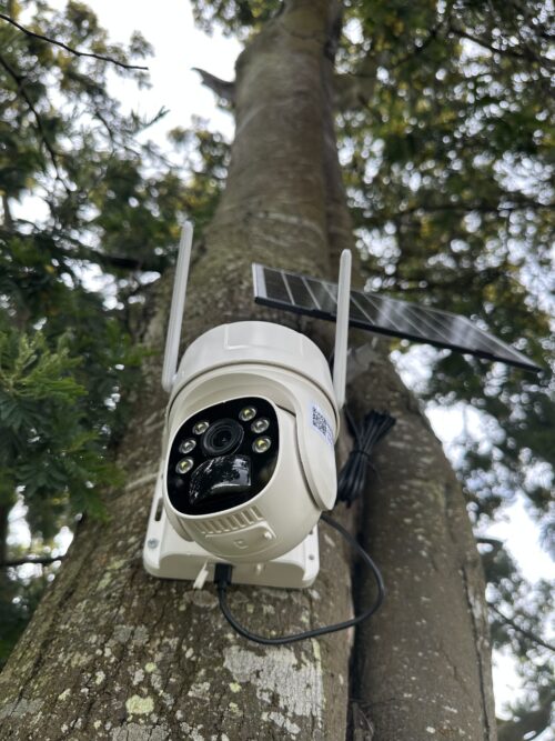 Cámara Wifi un lente